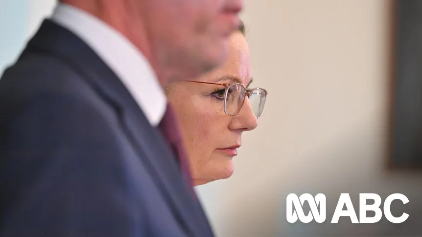 Sussan Ley Leadership Under Fire After Heated Sunrise Interview