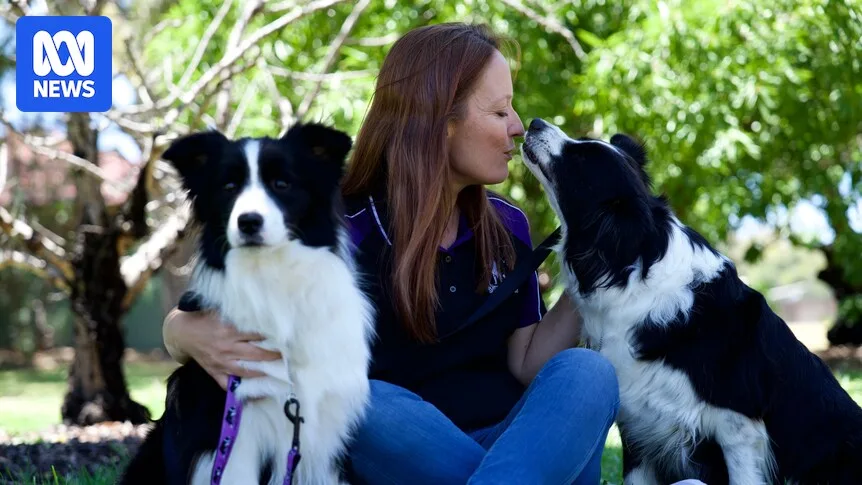 Toxic Algae Warning For Dog Owners At SA Beaches