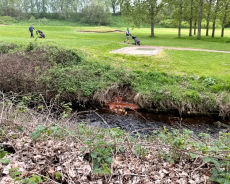 Toxic Golf Course at Malkins Bank in Cheshire Found to Have Chemical Contamination