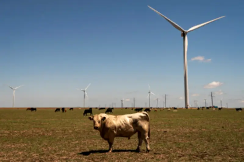 Union Workers Decry Trump's 'Personal Vendetta' Against Wind Energy