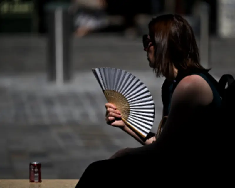 Women Bear Brunt of Heatwave Disruption, Study Finds