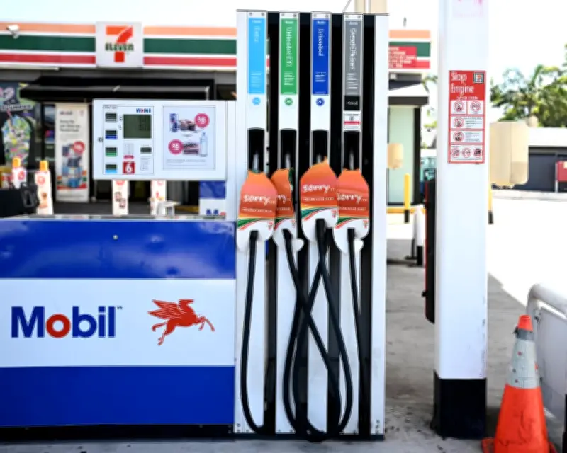 World Economic Crisis Requires Urgent Government Response
