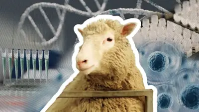 30 Years After Dolly: Cloning's Surprising Reality Today