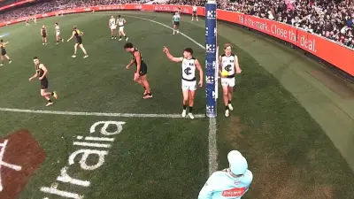 Carlton's Haynes accepts blame for deliberate rushed behind call