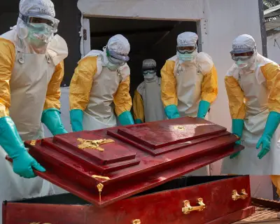 Ebola's wildlife origins key to preventing next outbreak, expert warns