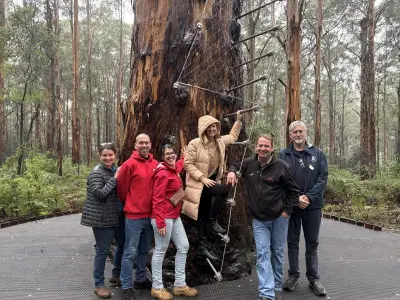 Gloucester Tree reopens in Pemberton after $3M upgrade for WA school holidays