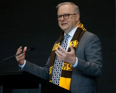 Labor's Gambling Crackdown Faces Widespread Discontent, Albanese Urged to Act