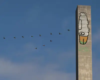 Pam the Bird Graffiti: Art or Vandalism on Melbourne Landmarks?