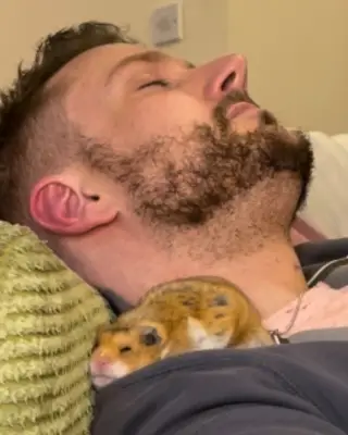 Popcorn the Hamster: A Tiny Rodent Who Calmed Me When Nothing Else Could