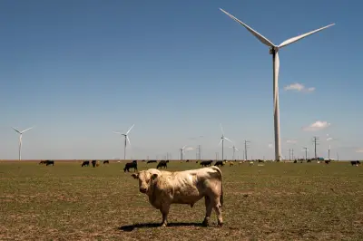 Union Workers Decry Trump's 'Personal Vendetta' Against Wind Energy