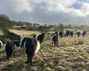 A Moving Account of Farming's Downsides Exposes Rural Crisis