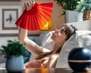 AC Scams Surge During Heatwave: Fake Deals Warning