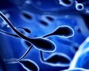 Air Pollution Linked to DNA Changes in Sperm
