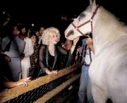 America 250: Photos from Civil Rights to Moon Landing and 9/11