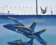 Cancer Island: US Navy’s Toxic Legacy in Vieques, Puerto Rico