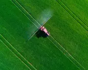 EU Pesticide Approved Despite Brain Development Risks