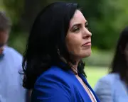 Greens accuse government of politicising fraud to justify NDIS cuts