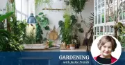 Jackie French on Winter Gardening: Warmth, Colour, Cheap Fixes