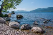 Loch Ness Hydropower Project Threatens Ancient Woodland and Shoreline