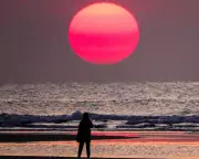 Ocean Surface Temperatures Hit Record High for June, Scientists Warn