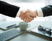 Private Equity in Public Services: Risks and Benefits Examined