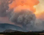 Record Wildfires in Europe Signal Failure to Adapt to Climate Crisis