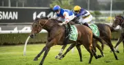 Rosehill Races Saturday: Expert Tips and Previews for July 2, 2026