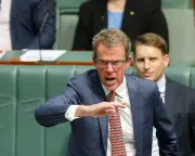 Tehan: Liberals Not Entertaining One Nation Coalition
