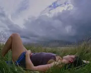 Tick Season Warning: Charlie XCX in Long Grass Sparks Debate