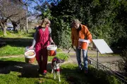 Victoria to Ban Kitchen Scraps, Garden Cuttings from Landfill in Compost Push